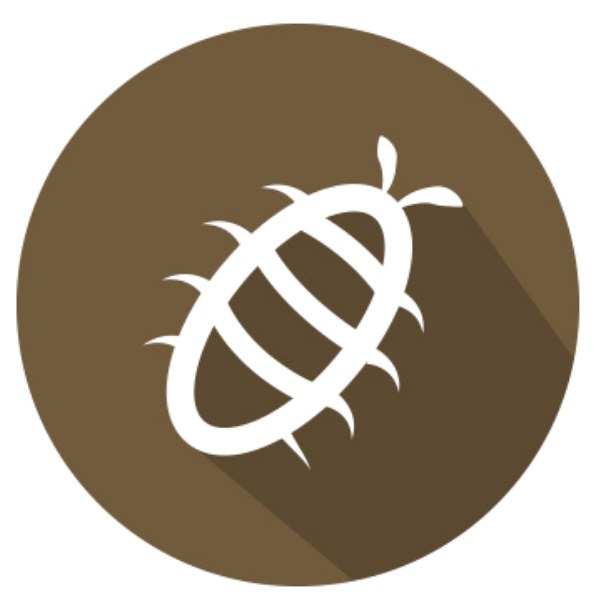 termites Termites